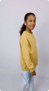 batch_IMG20241121130252.jpg